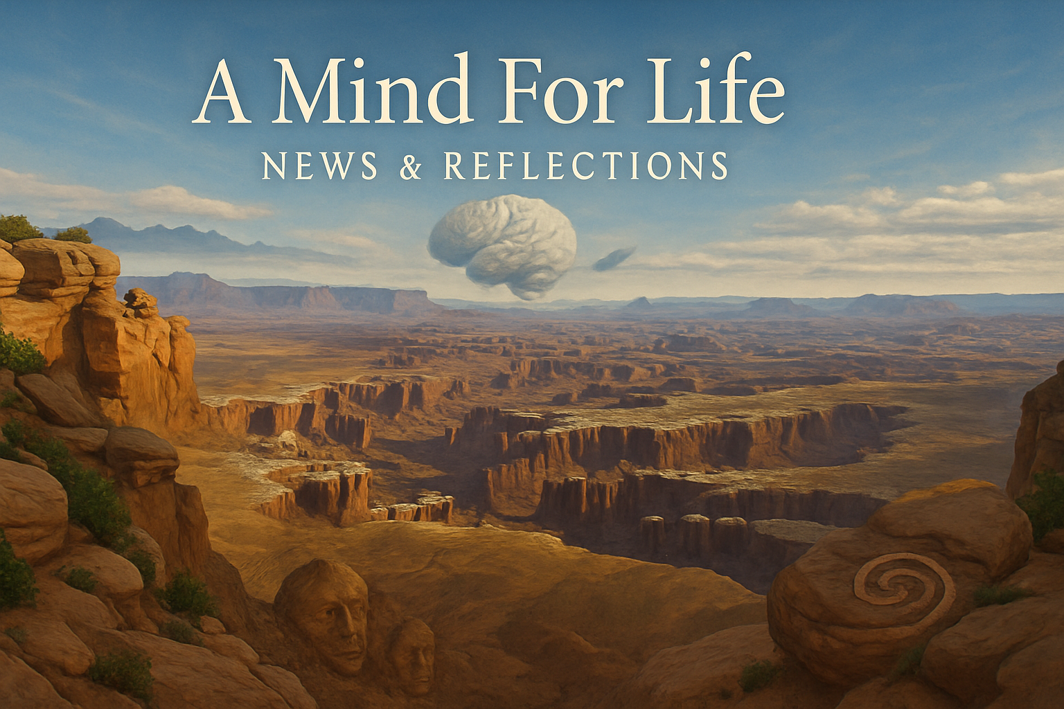 A Mind For Life – News & Reflections